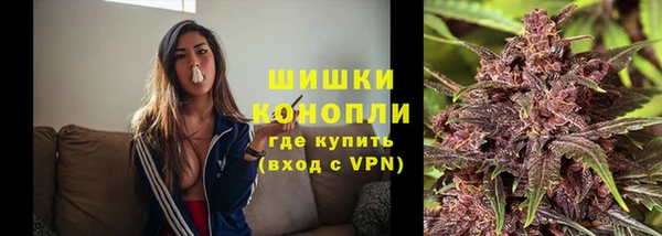 ALPHA PVP Белокуриха